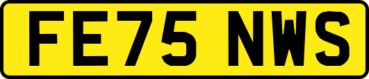 FE75NWS