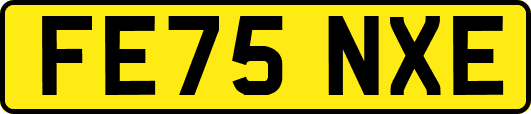 FE75NXE