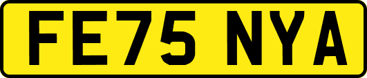 FE75NYA