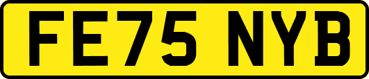 FE75NYB