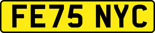 FE75NYC
