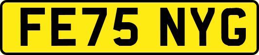 FE75NYG