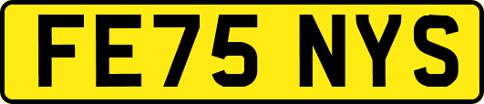 FE75NYS