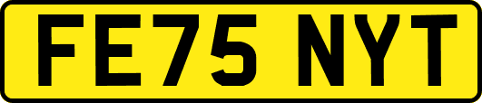 FE75NYT