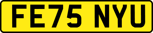 FE75NYU