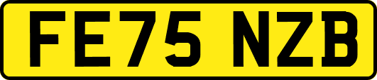 FE75NZB