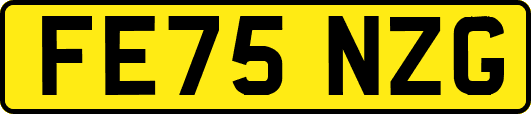 FE75NZG