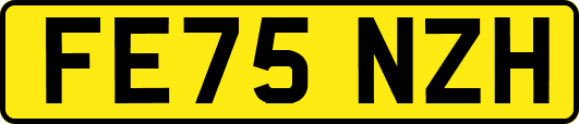 FE75NZH