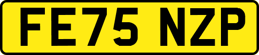 FE75NZP
