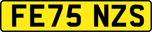 FE75NZS
