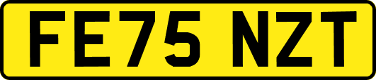 FE75NZT