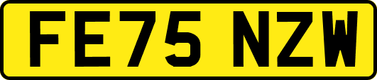 FE75NZW