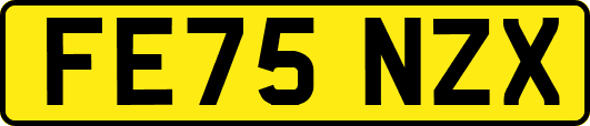 FE75NZX