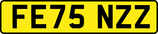 FE75NZZ