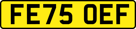 FE75OEF