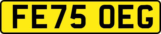 FE75OEG
