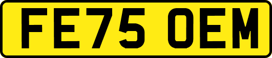 FE75OEM