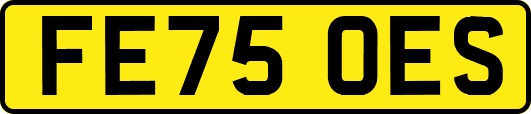 FE75OES