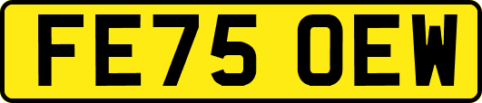 FE75OEW