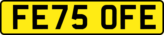 FE75OFE
