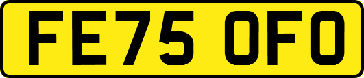 FE75OFO
