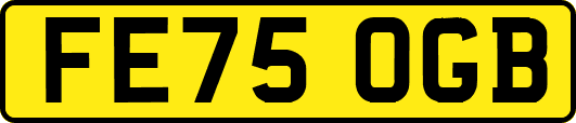 FE75OGB