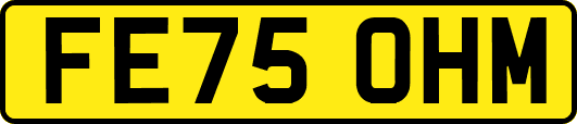 FE75OHM