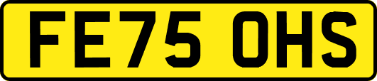 FE75OHS