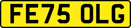 FE75OLG