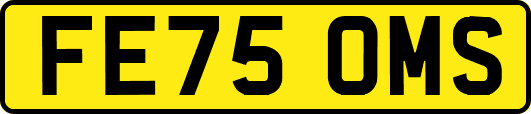 FE75OMS