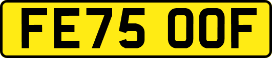 FE75OOF