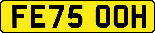 FE75OOH