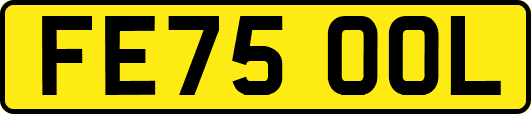 FE75OOL
