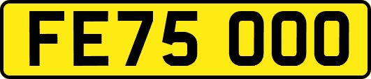 FE75OOO
