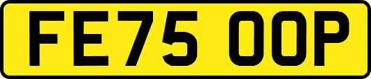 FE75OOP