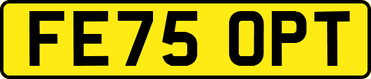FE75OPT