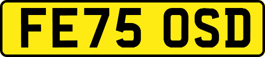 FE75OSD