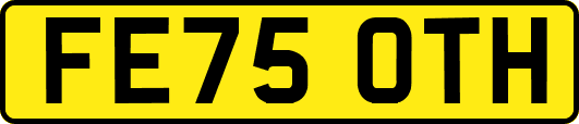 FE75OTH