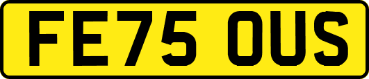 FE75OUS
