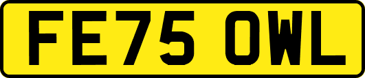 FE75OWL