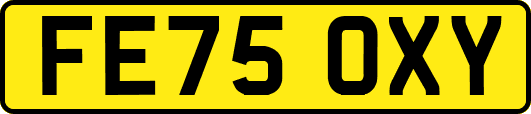 FE75OXY