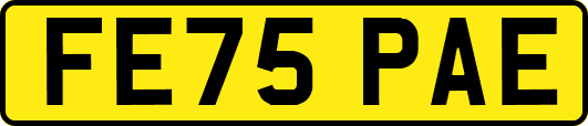 FE75PAE
