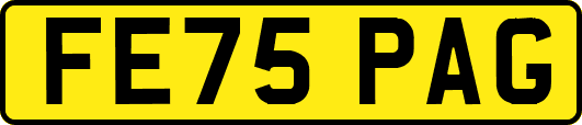 FE75PAG
