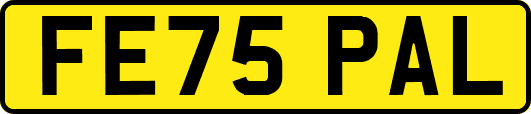 FE75PAL
