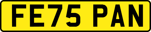 FE75PAN