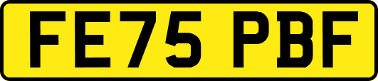 FE75PBF