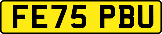FE75PBU