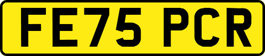 FE75PCR