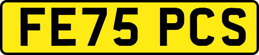 FE75PCS