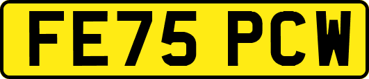FE75PCW